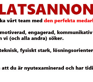 Så är den perfekta medarbetaren