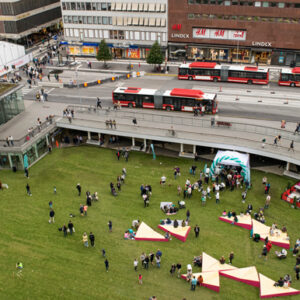 Plattan blev gräsmattan