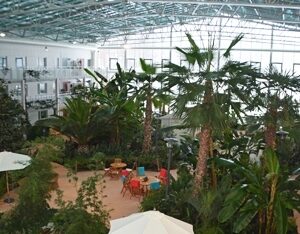 Sommarkoncept på export