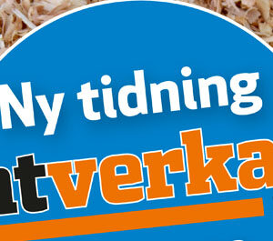 Hantverkaren – en ny tidning från Byggvärlden