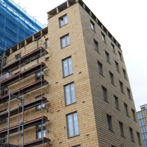 Cederhusen växer fram