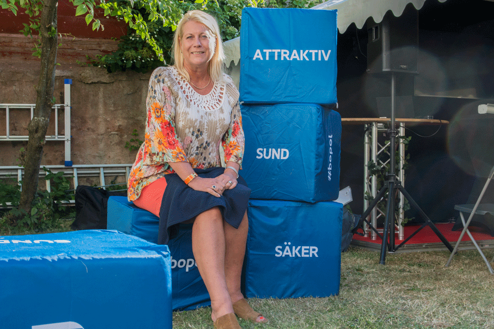 Hur rustar vi Sverige för 11 miljoner?