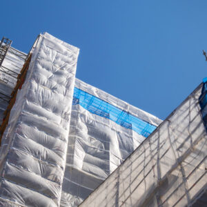 Rotprojekten minskar