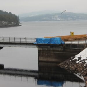 Fortum döms till böter