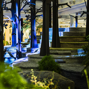 Svenska Ljuspriset till Kings skog