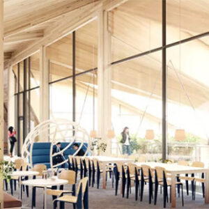 Träbyggandet ökar med över hälften