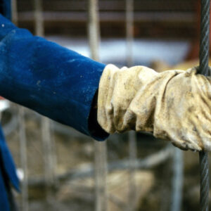 1 av 4 känner sig tvingade att tumma på reglerna