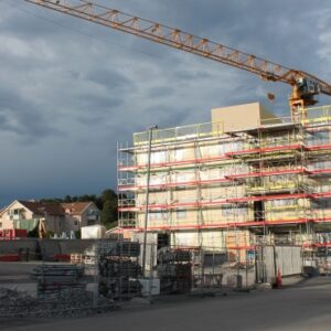 Nyproduktion mest populärt