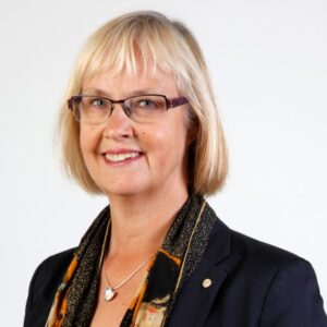 Sänkt hastighet för höghastighetståg