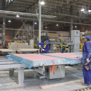 Urskog, bisonoxar och moduler