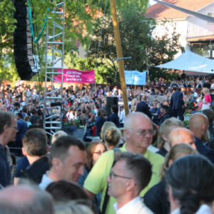 Enkät: Så ser branschen på Almedalen