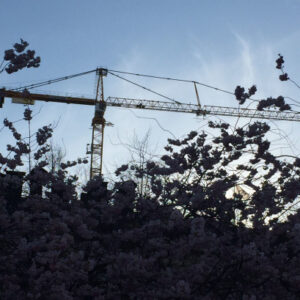 51 500 nya bostäder under 2017