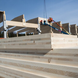 Nya regler ska ge Kina högre trähus