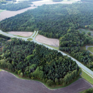 Klart med tillfällig entreprenör på Lovön