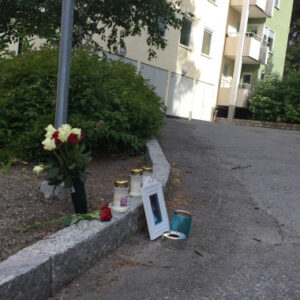 Livstids fängelse för Lidingömord