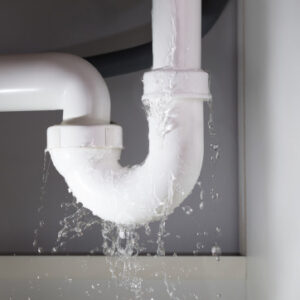 Fukt – en kostsam historia