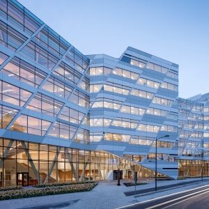 Med eken som utgångspunkt