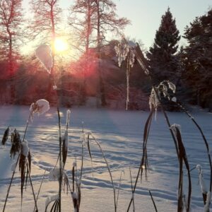 Så minns vi 2015 – ett händelserikt byggår
