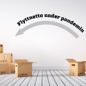 Kommunerna som blev vinnare under pandemin