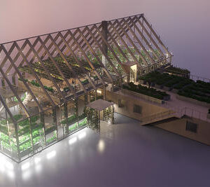 Bygger en växthusrestaurang