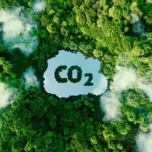Kommunerna med flest inlämnade klimatdeklarationer