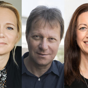 Branschprofilerna tipsar: Det här får du inte missa i Almedalen