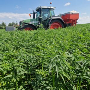 Bygger anläggning för hampaisolering