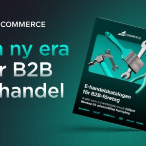 E-handelskatalogen för B2B-företag: 4 sätt som e-handelsteknik lyfter företag