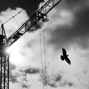 Lista: 41 bolag i konkurs förra veckan