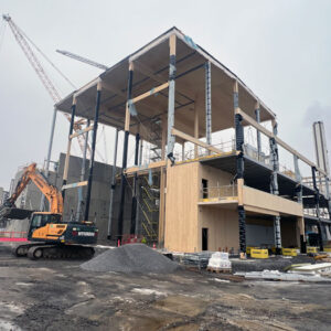 ”Det finns inget liknande i Sverige”