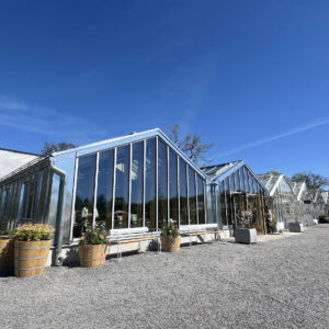 Rosendals Trädgård byggs ut för 100 miljoner