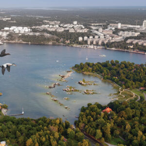 Sprängsten kan rädda ekosystemet i Östersjön