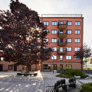 Hyra efter betalningsförmåga och mjuk förvaltning