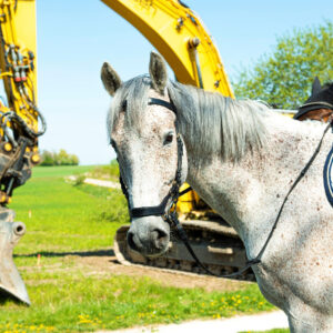 Novab bygger Lunds nya ridanläggning