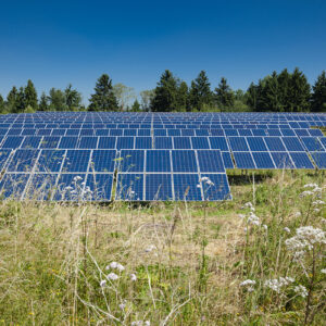 Kommun överklagar solcellspark