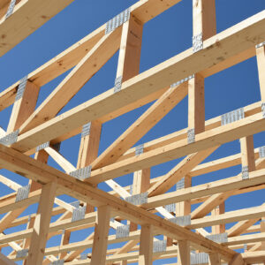 Kan nya fängelser byggas med trä?