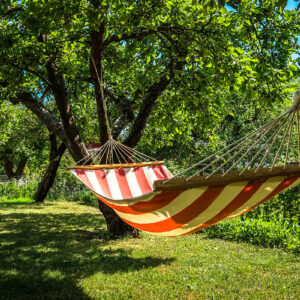 Sommarläsning från Byggvärlden