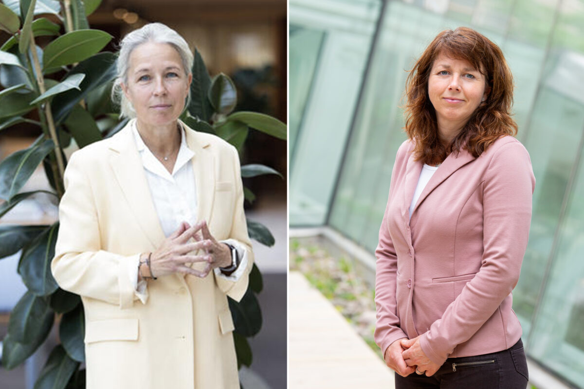 Susanne Rudenstam, Sveriges Träbyggnadskansli och Anna Ryberg Ågren, Svenskt Trä