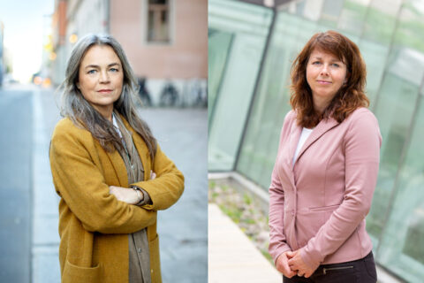 Trä vs betong: Ny studie kritiseras och hyllas