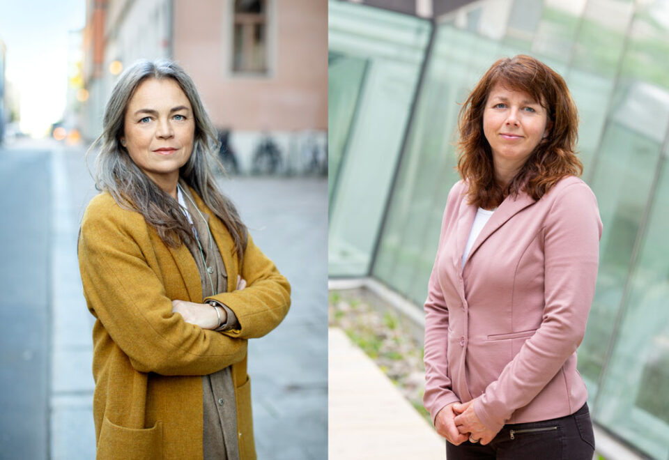 Trä vs betong: Ny studie kritiseras och välkomnas