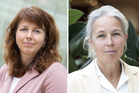 Heja Sveafastigheter! Men ser ni skogen för alla träd? 