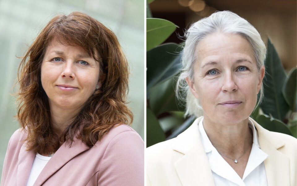 Heja Sveafastigheter! Men ser ni skogen för alla träd? 