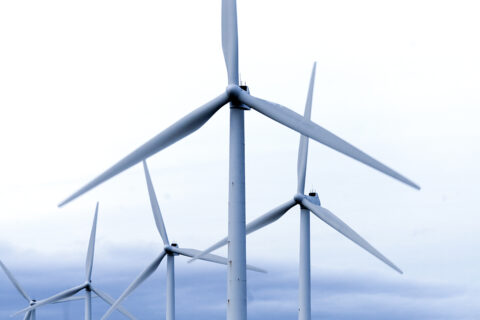 Stort bolag i konkurs – omsatte en halv miljard