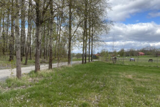 Skanska tecknar stort avtal med Svenska Kraftnät