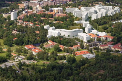 Domstol ger grönt ljus för stort bostadsprojekt