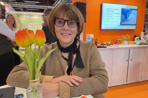 Nederländsk expertis vill in i Sverige