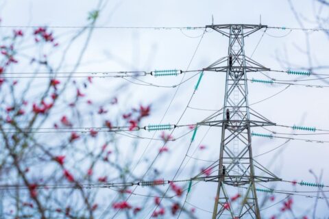Svenska kraftnät tidigarelägger miljardprojekt