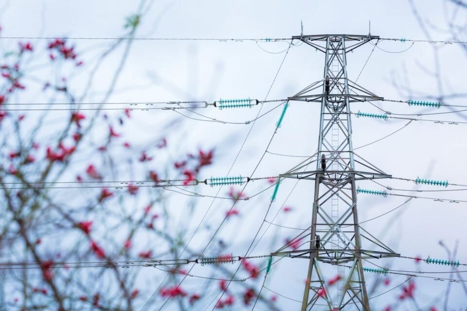 Svenska kraftnät tidigarelägger miljardprojekt